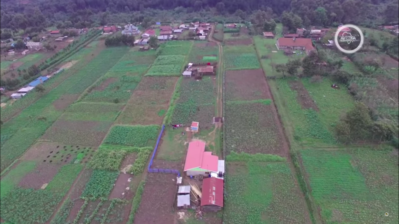 VIDEO SERIESBitter Harvest – Part 2